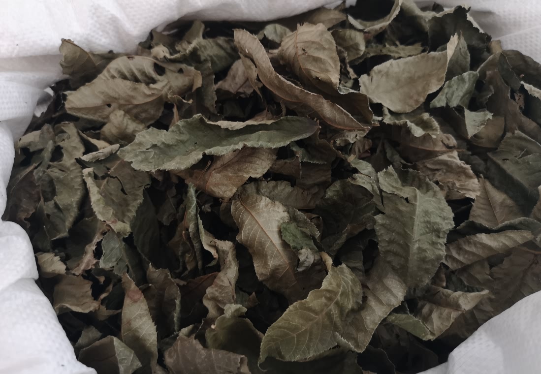 5d83255d79b41.jpg 5d83255d79b41.jpg