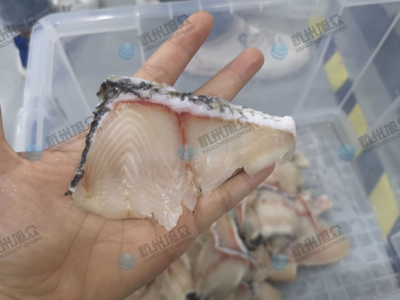 5db6539d37cd5.jpg 5db6539d37cd5.jpg