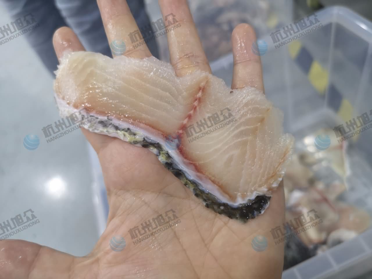 5db6539d92d79.jpg 5db6539d92d79.jpg