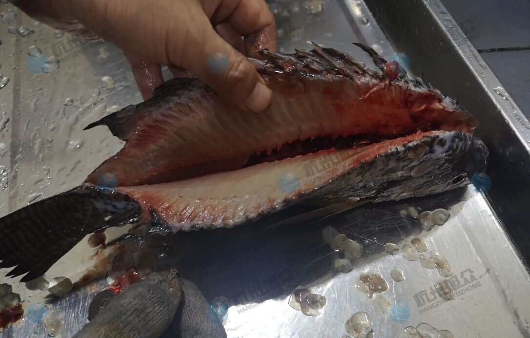 5db790518562d.jpg 5db790518562d.jpg