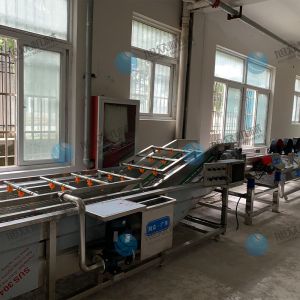 果蔬氣泡清洗機(jī)風(fēng)干流水線多少錢？