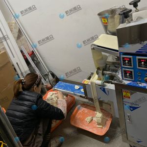 仿手工包餃子機(jī)省時省力開店神器！