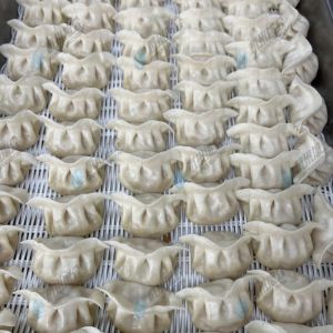 JGB-10型一體式餃子機(jī)現(xiàn)場試機(jī)，效果棒棒噠?。。?！